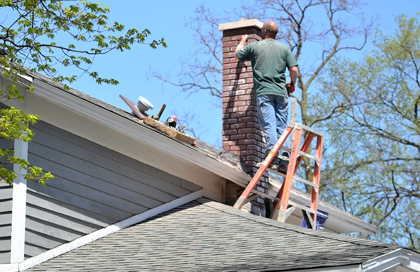 Chimney & Fireplace Inspections Services in Berea, SC
